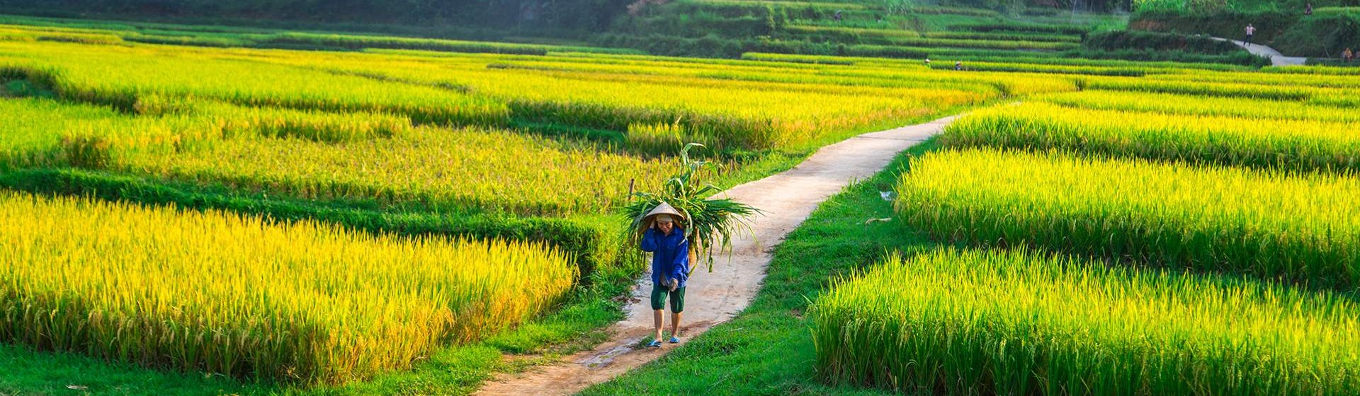 Bãi Đông Thanh Hóa cuốn hút khách du lịch qua vẻ đẹp hoang sơ