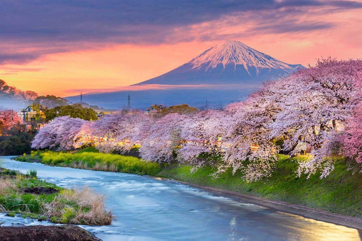 Top 9 điểm ngắm hoa anh đào đỉnh nhất Hàn Quốc, Nhật Bản, Đài Loan